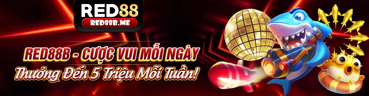 Trải nghiệm cá cược di động 88nn123 nhà cái